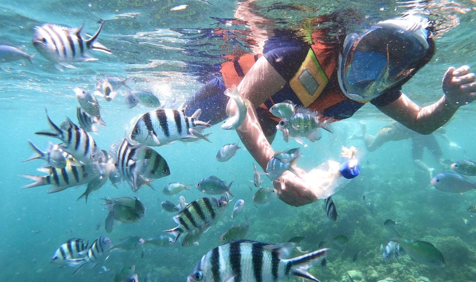 Lombok: Gili Islands Private Snorkeling Boat Trip - Island Highlights