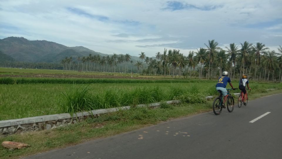 Lombok: Half Day City and Pengsong Countryside Biking Tour - Customer Reviews