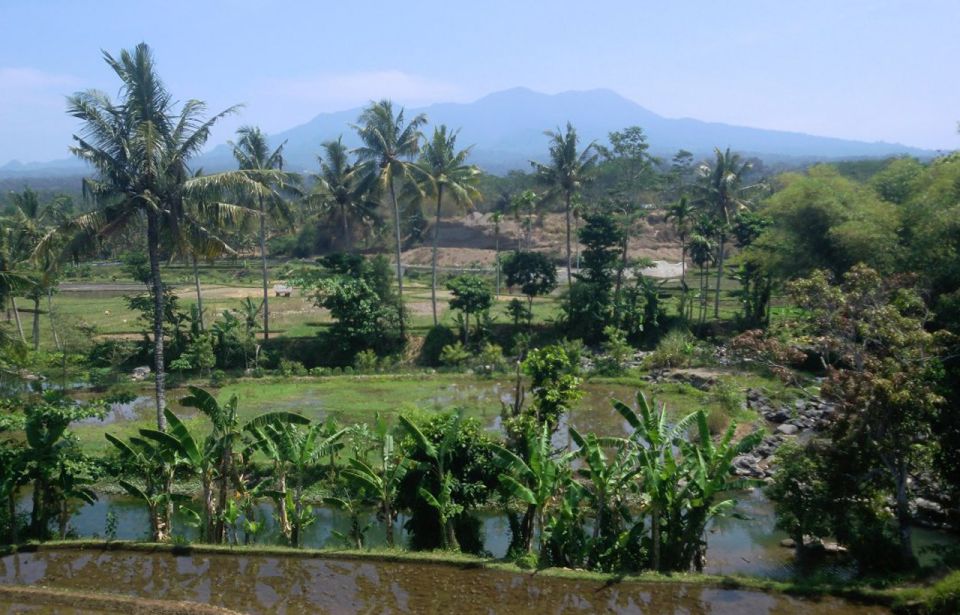 Lombok Rice Field Walking Tour - Itinerary