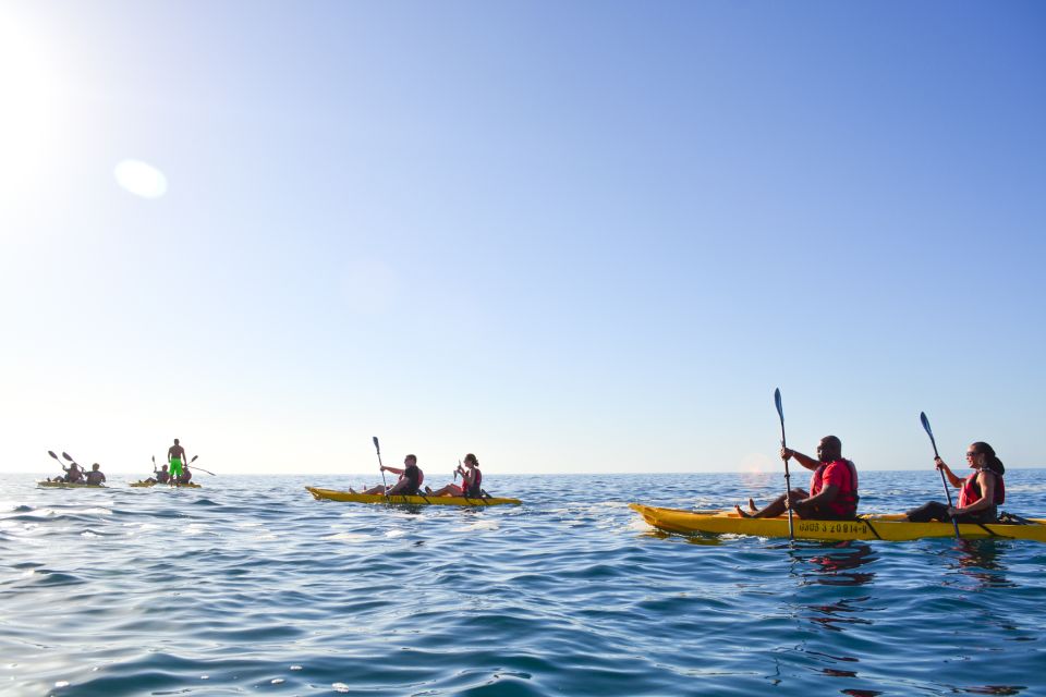 Los Cabos: Bay Kayaking and Snorkeling Private Tour - Tour Highlights