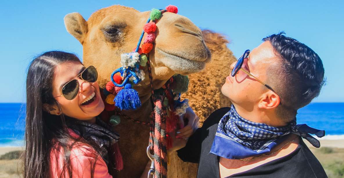 Los Cabos: Camel Safari Adventure - Tour Itinerary