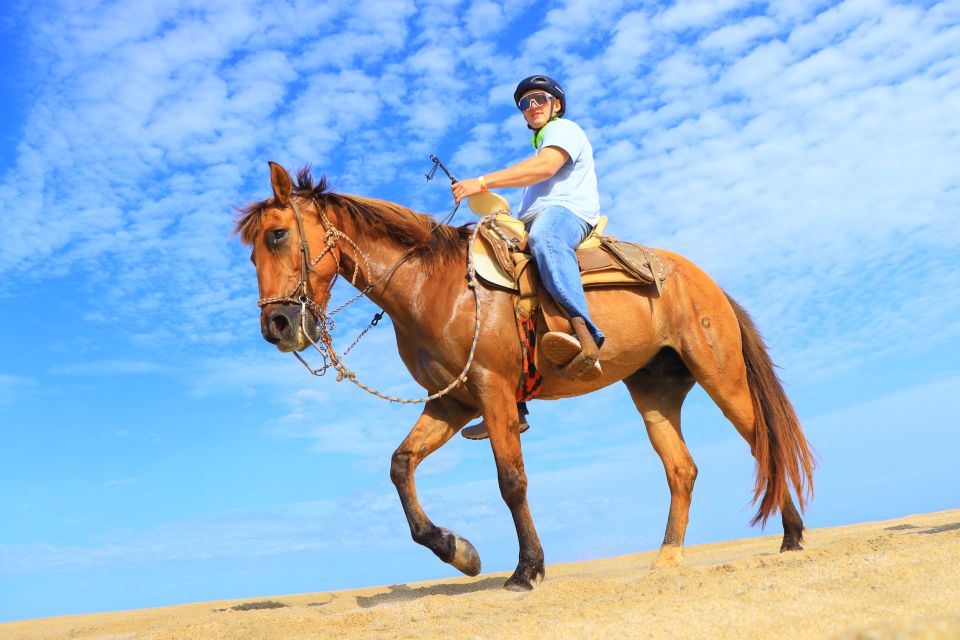 Los Cabos: Horseback Ride on Pacific Beach and Desert - Booking Reviews