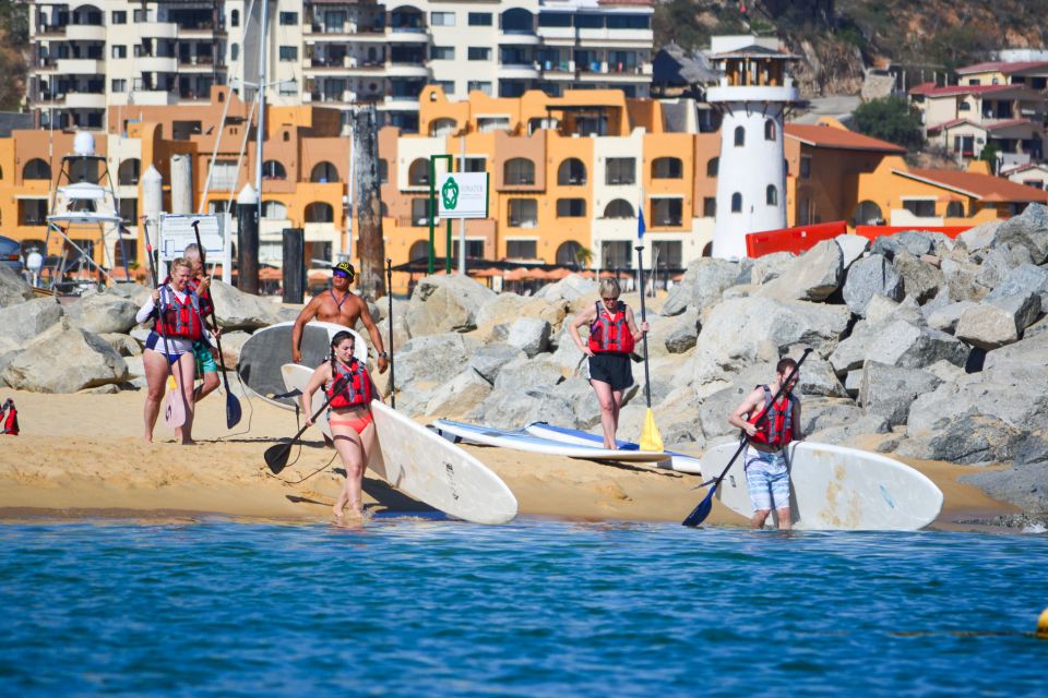 Los Cabos: Private Paddleboarding and Snorkeling Tour - Scheduling Options and Recommendations