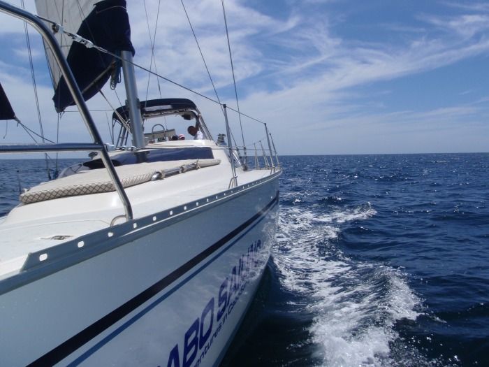 Los Cabos: Shared Sunset Sailing Cruise - Customer Reviews