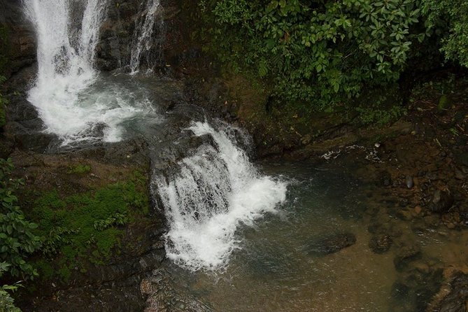 Los Campesinos Reserve, Waterfalls and Wildlife: Small-Group  - Quepos - Important Considerations