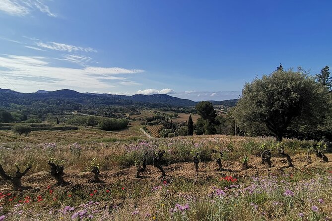 Luberon Wine and Charm: Explore the Flavors of the South - Culinary Delights and Wine Pairings