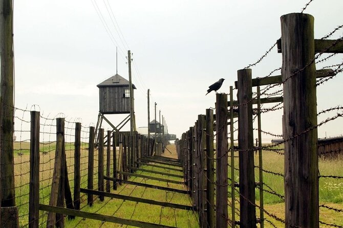 Lublin and Majdanek Small Group Tour From Warsaw With Lunch - Health and Safety Measures