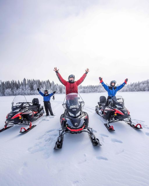 Luleå : Snowmobile - Forest and Ice Nature Tour 2h - Inclusions