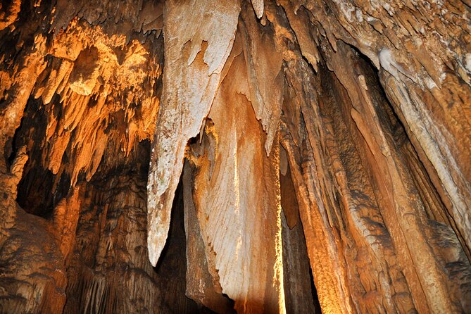 Luray Caverns & Shenandoah Skyline Drive Day-Trip From DC - Inclusions
