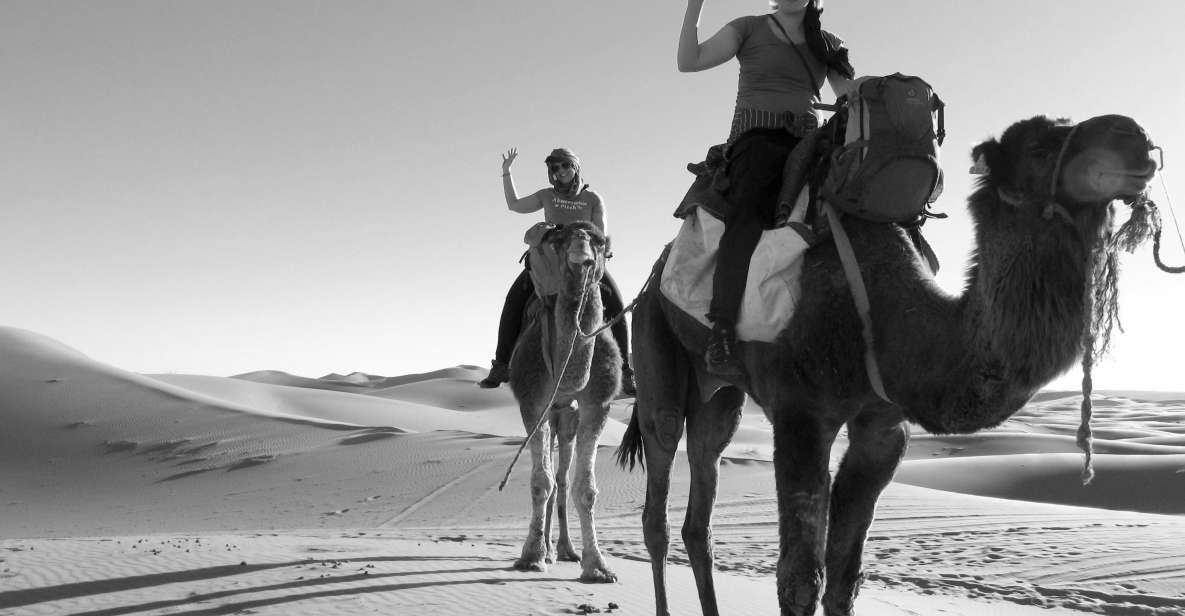 Luxury Desert Camp With Camel Ride, Meals & Sandboarding - Highlighted Activities