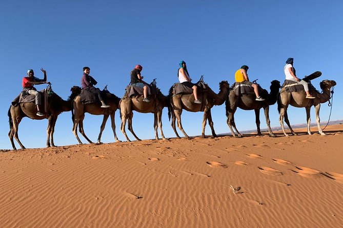 Luxury Group Tour in the Sahara (3 Days 2 Nights) - Booking Information