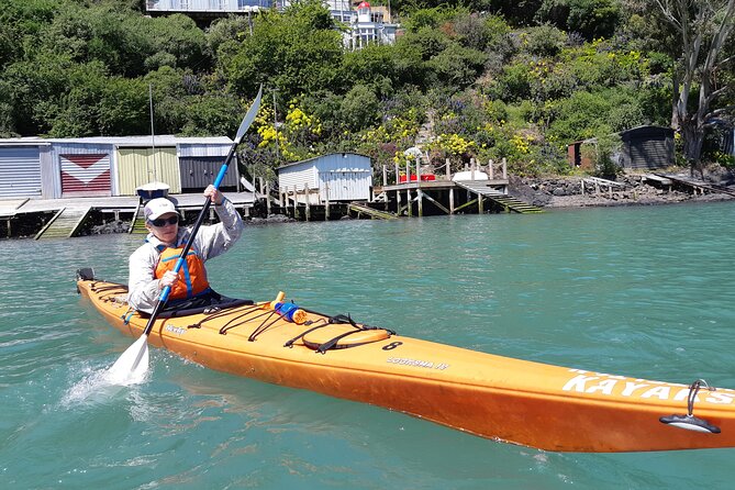 Lyttelton Shore Excursion - Sea Kayaking, Quail Island & Harbour - Discovering the Harbour Views