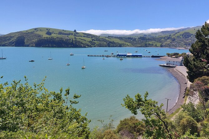 Lyttelton Shore Excursion: Twin Harbour Tour (Lyttelton & Akaroa) - Cheese Factory Visit