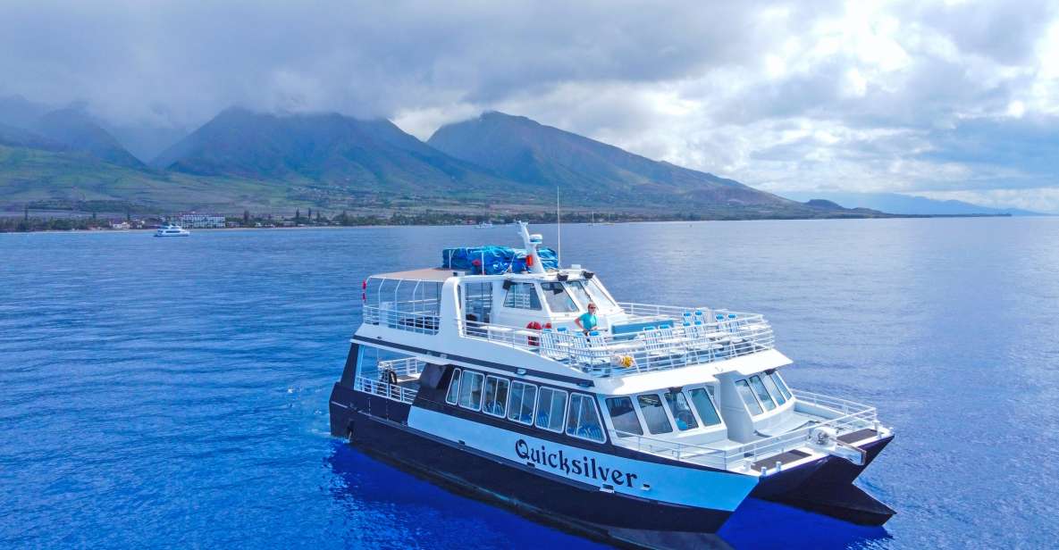 Ma'alaea Harbor: Whale Watching Catamaran Cruise - Tour Itinerary