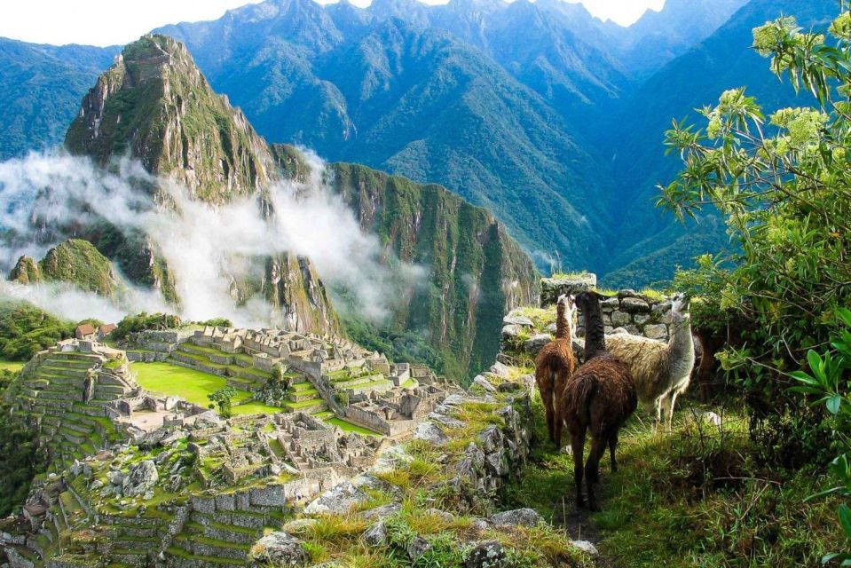 Machu Picchu 1 Day Adventure Lunch - Logistics and Timing