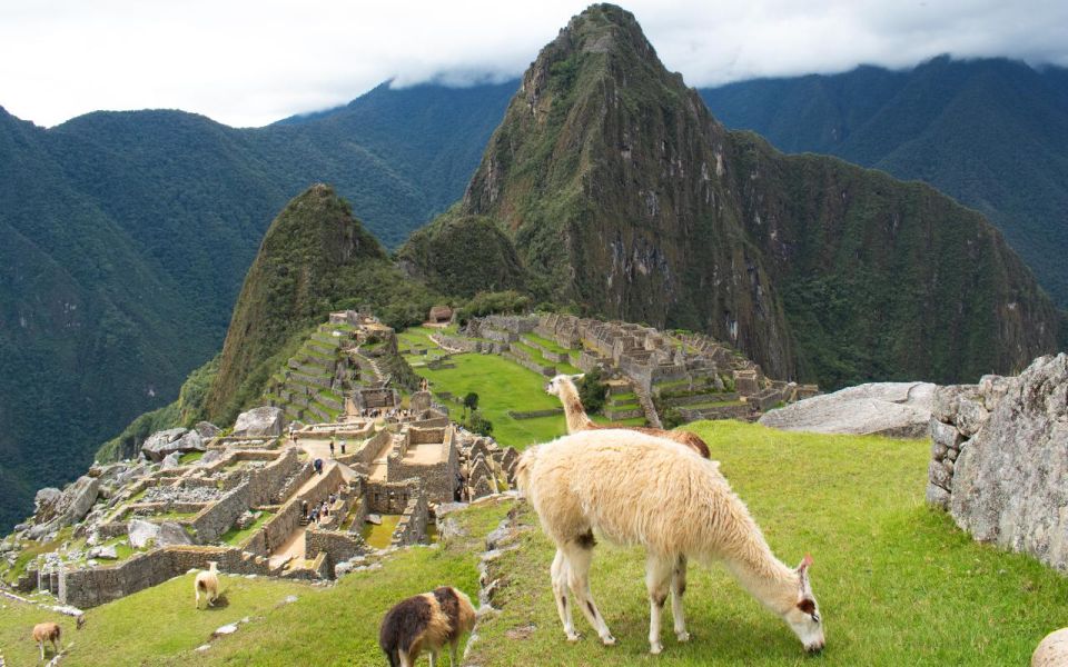 Machupicchu Tour by Tourist Train in 2 Days - Pickup and Passport Requirements