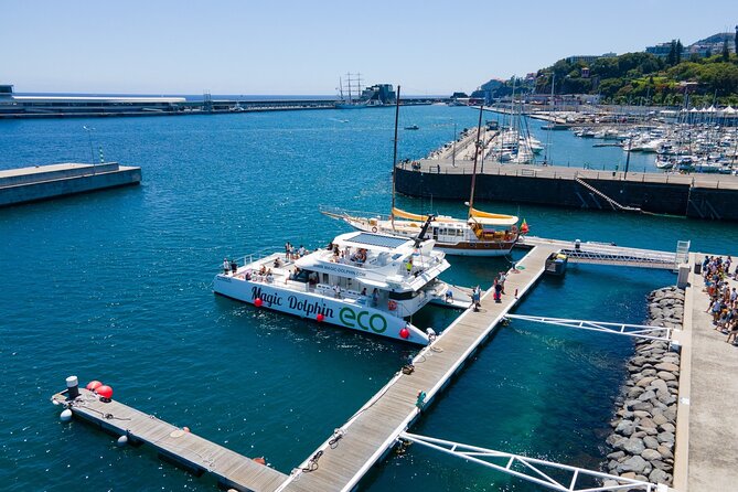 Madeira Dolphin and Whale Watching on a Ecological Catamaran - Eco-Friendly Practices