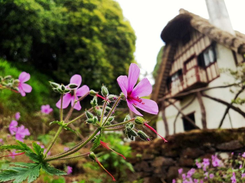 Madeira Island: Caldeirão Verde Levada Walk - Review Summary