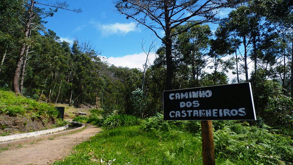 Madeira: Levada Calheta to Prazeres Private Walking Tour - Tour Description