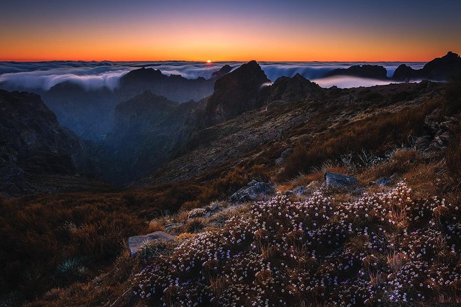 Madeira: Pico Ruivo Small-Group Sunrise Hike  - Funchal - Traveler Experience