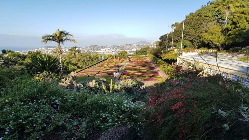Madeira: Private Half-Day Guided Gardens Tour - Meeting Point Details