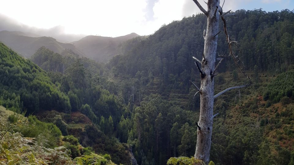 Madeira: Private Levada Ponta Do Pargo Walk - Location & Accessibility