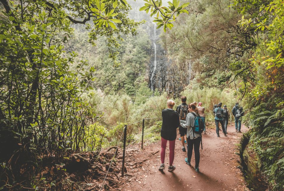 Madeira: Rabaçal Valley and the 25 Fountains Hike. - Reservation Flexibility