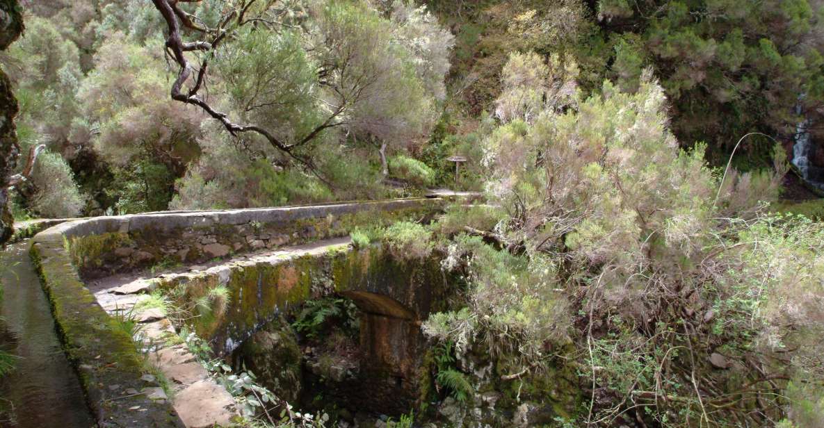 Madeira: Rabaçal Valleys 3-Hour Guided Walk - Review Summary