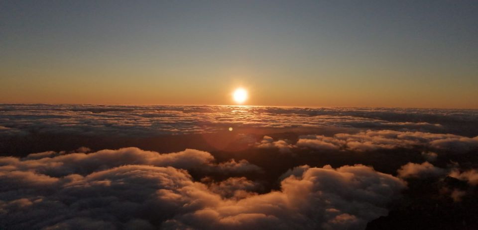 Madeira: Sunrise Half-Day Jeep Tour - Tour Highlights