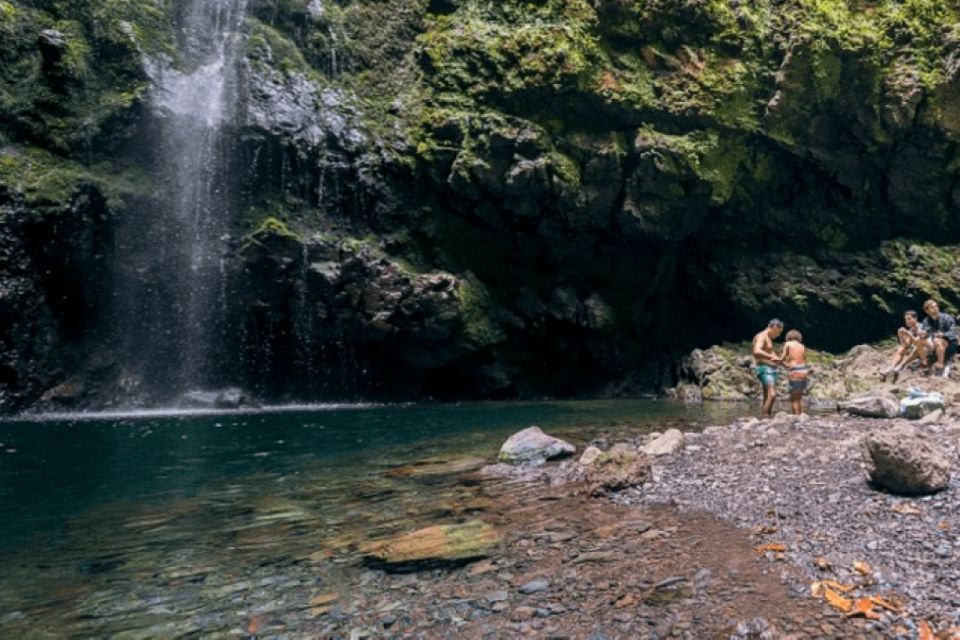 Madeira: Walking Tour - Queimadas / Caldeirão Verde - Experience Highlights