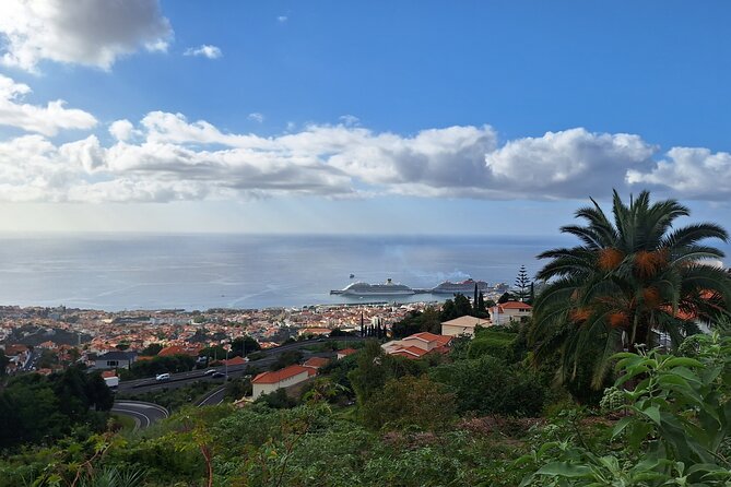 Madeira Wine Tasting and Funchal City Tour - Reviews