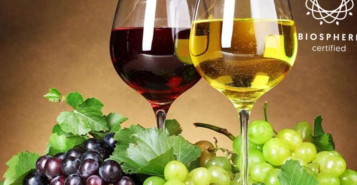 Madeira: Wine Tasting Experience Honey Museum and Cabo Girão - Customer Reviews