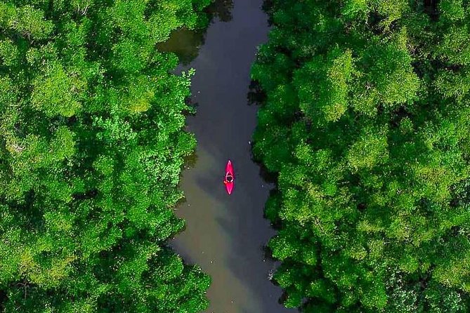 Madu River Sunrise Mangrove Kayaking From Bentota - Participant Guidelines