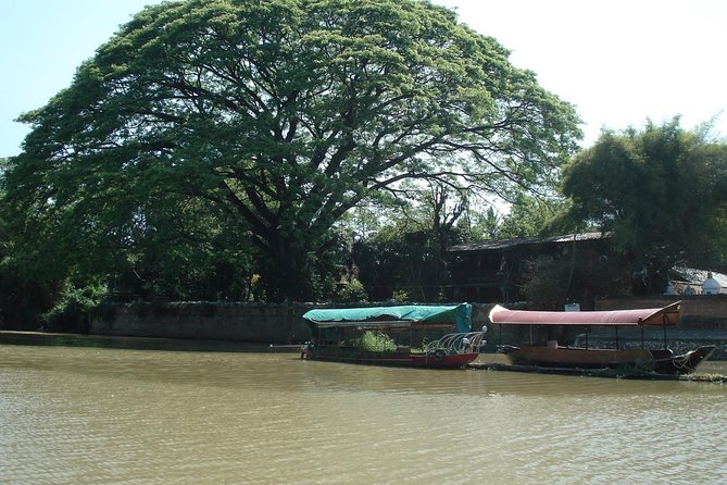 Mae Ping River Boat Ride From Chiang Mai With Lunch - Customer Feedback Analysis