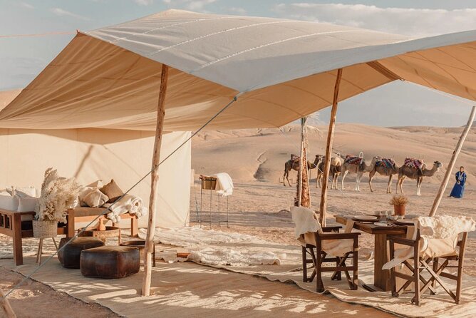 Magical Dinner & Show on the Sunset of Agafay Desert - Desert Adventure: Camel Rides & More