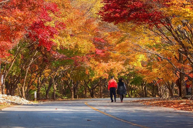 Magnificent Naejangsan National Park Autumn Foliage Tour From Seoul - Capturing the Best Moments on Camera