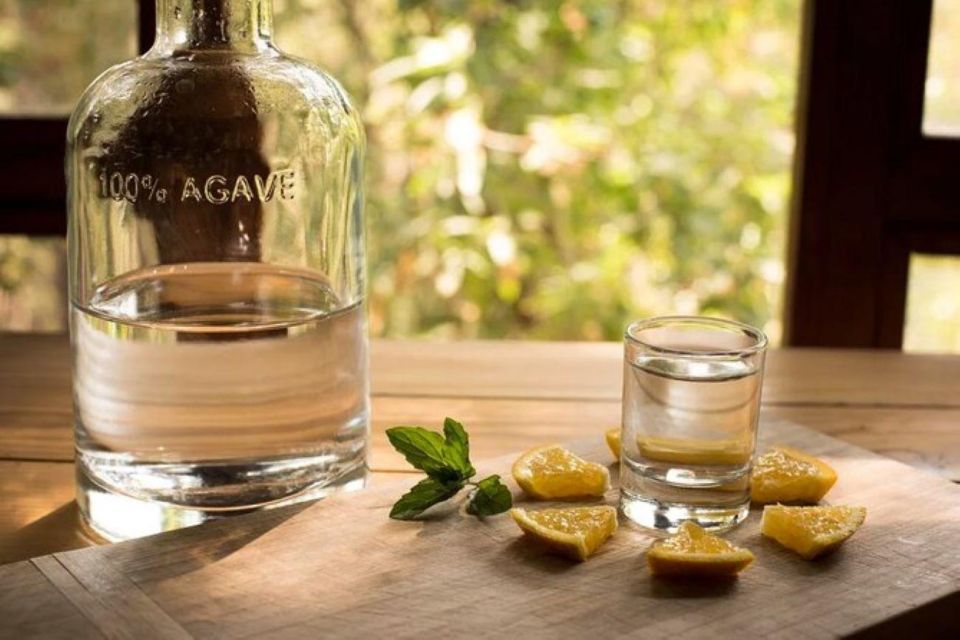 Mahahual: Authentic Mezcal & Tequila Tasting Experience - Tasting Description