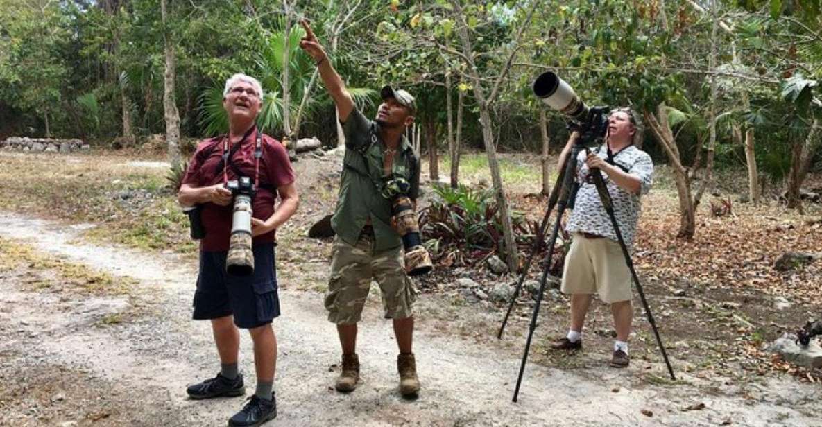 Mahahual: Costa Maya Birdwatching Experience - Booking Details