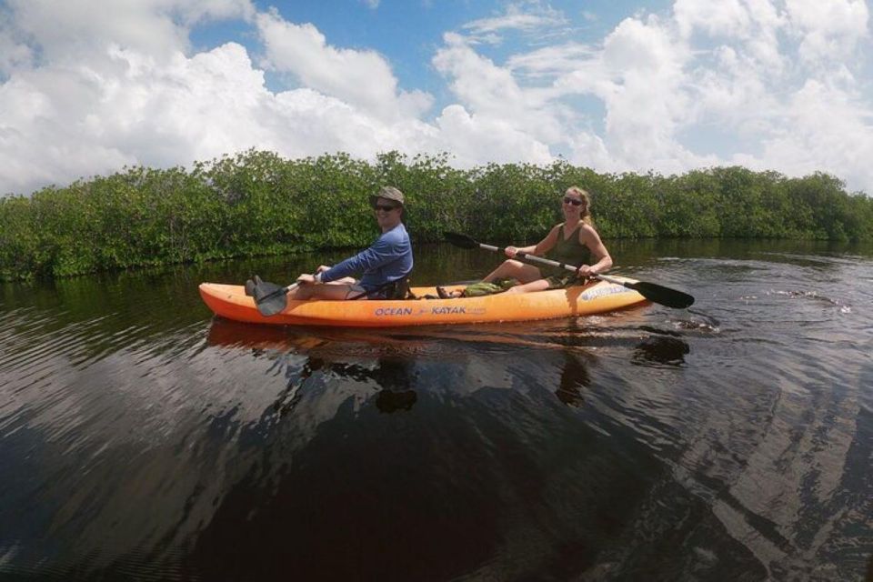 Mahahual: Kayaking in the Mangroves Experience - Highlights of the Experience