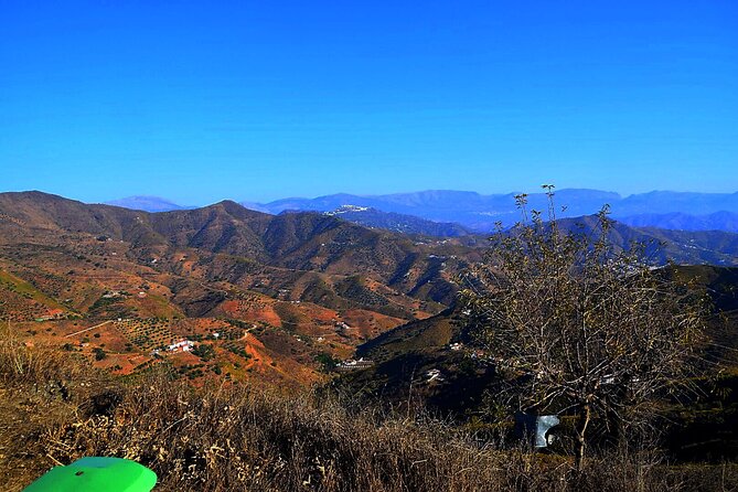 Malaga Shore Excursion: Panoramic Buggy Tour With Wine Tasting in a Historical Cellar - Company Information