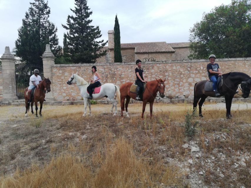 Mallorca: Guided Horseriding Tour of Randa Valley - Multilingual Tour Guide and Group Size