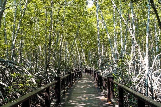 Mangrove Forest Hike and River Boat Ride With Private Guide From Hua Hin - Customer Reviews