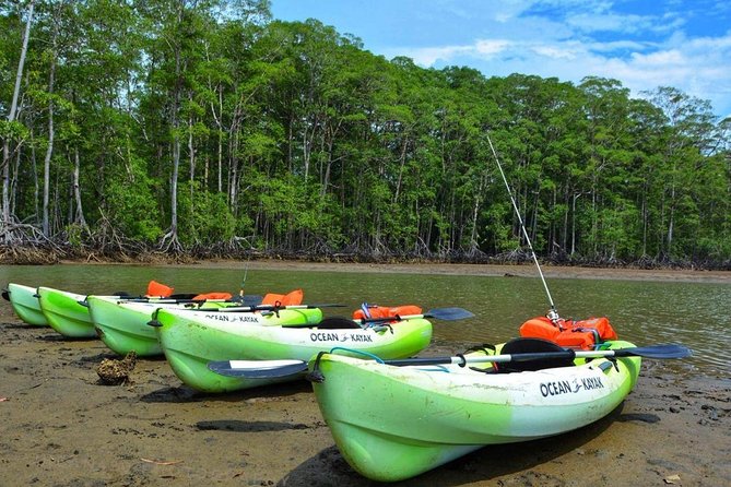 Mangrove Kayaking Adventure - Common questions