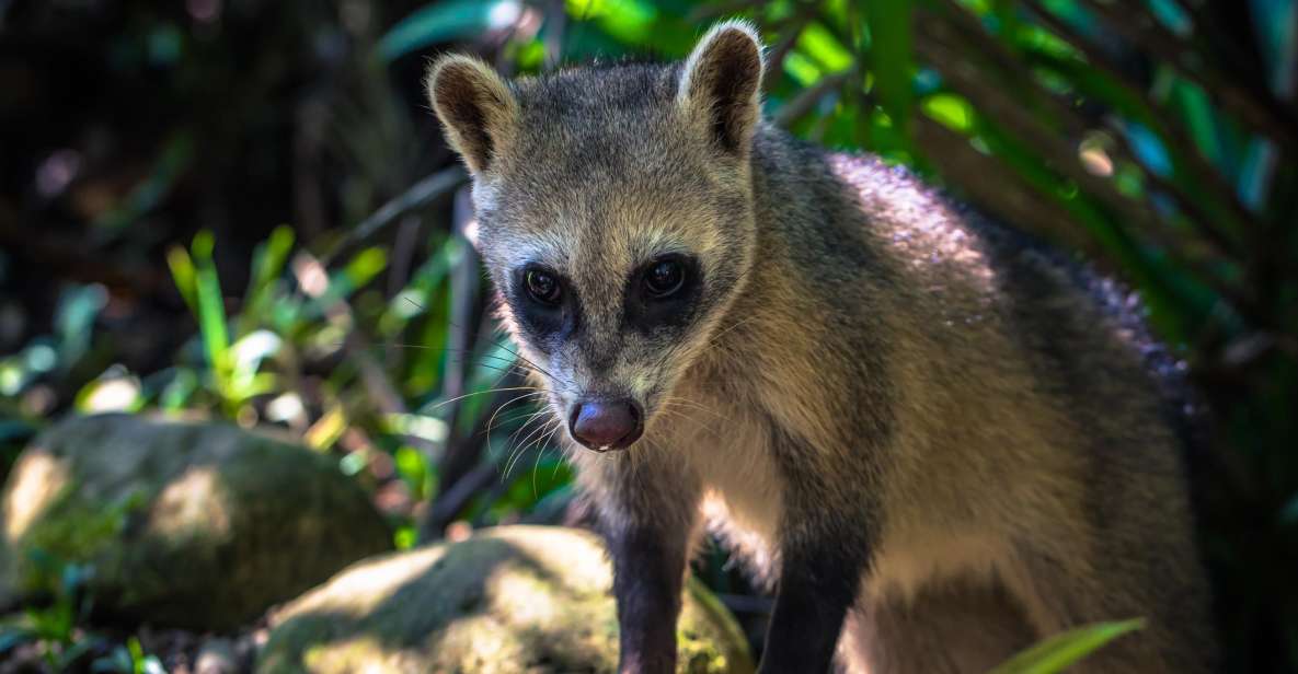 Manu National Park Tours From Cusco 5 Days - Detailed Itinerary