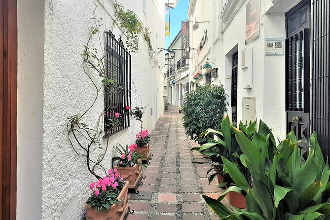 Marbella: Private Walking Tour - Private Guide Benefits