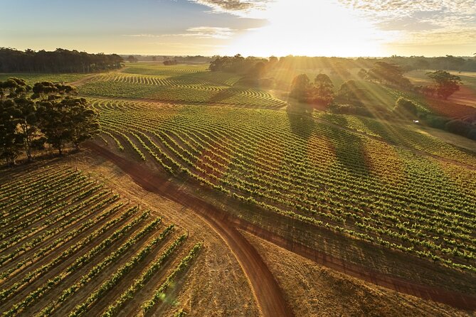 Margaret River Scenic Flight to Leeuwin Estate Winery From Perth - Included Amenities