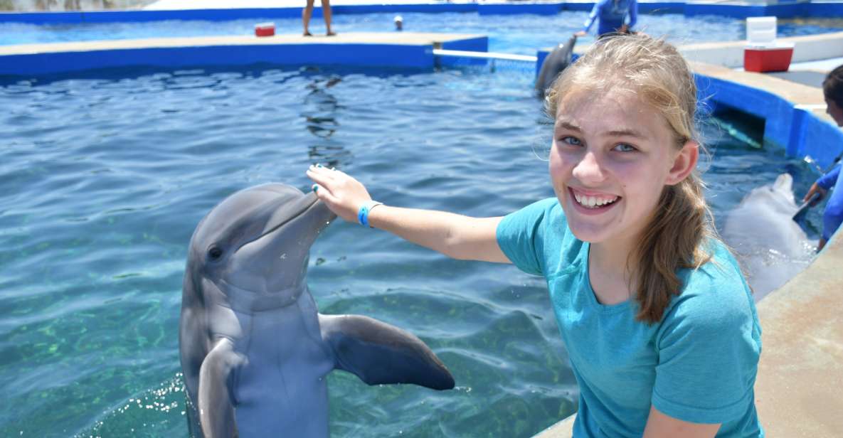 Marineland Dolphin Adventure, St. Augustine, Florida - Book Tickets & Tours - Dolphin Encounter Experience Details