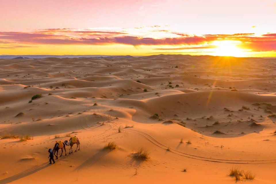 Marrakech: 2 Days Sahara Tour to Zagora & Ait Ben Haddou - Itinerary Details