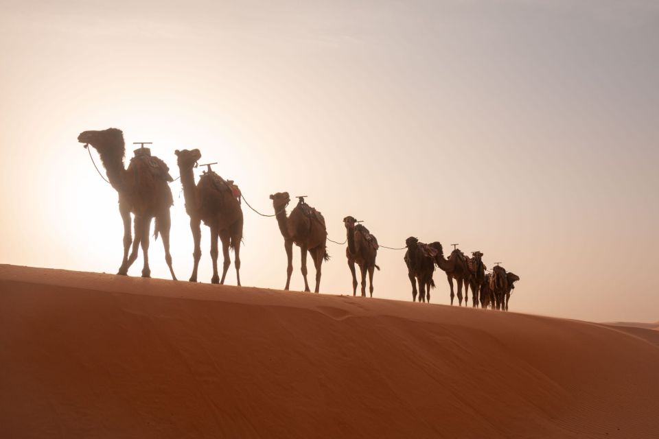 Marrakech: 3-Day Trip to Fez via the Merzouga Sahara Desert - Duration and Language Support