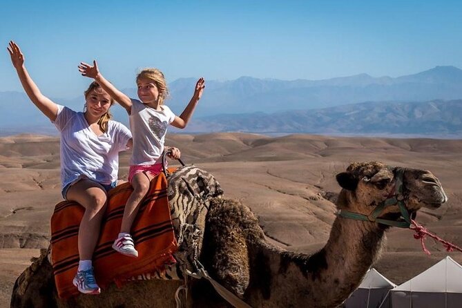 Marrakech 3-Hour ATV Tour in Desert and Palmeraie - Traveler Experience